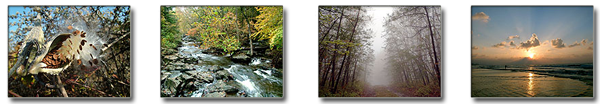 Photography Slide, Conklin Web Solutions